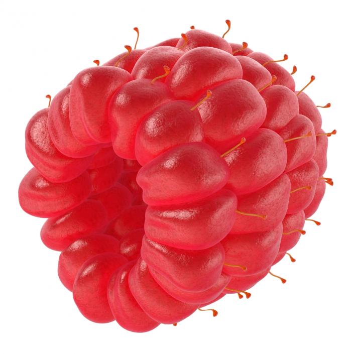 3D Red Raspberry model