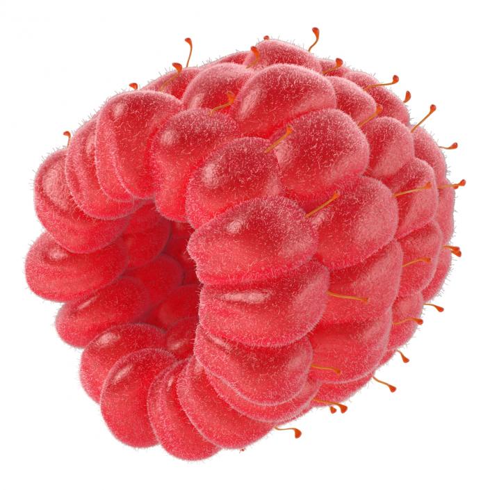 3D model Ripe Raspberry 2 with Fur