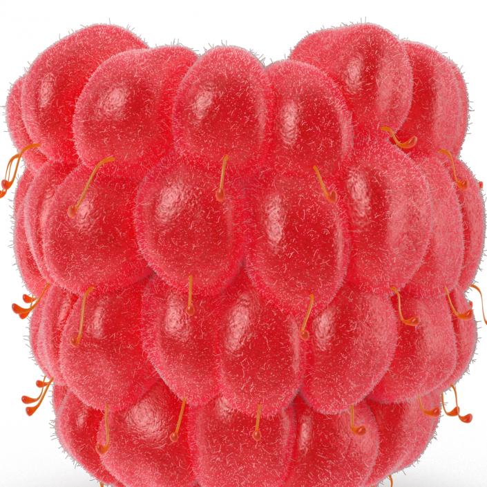 3D model Ripe Raspberry 2 with Fur