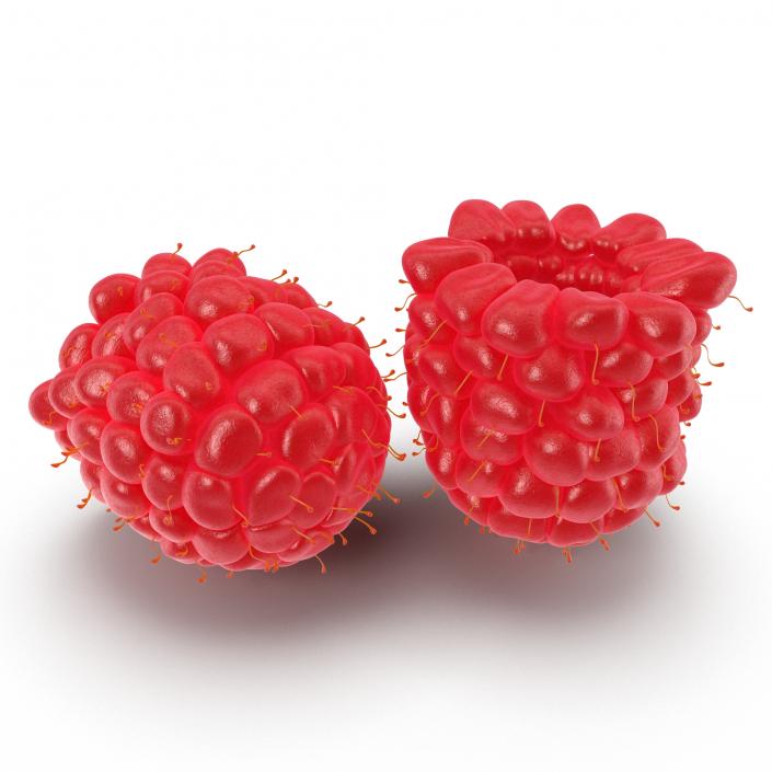 3D Ripe Red Raspberry model