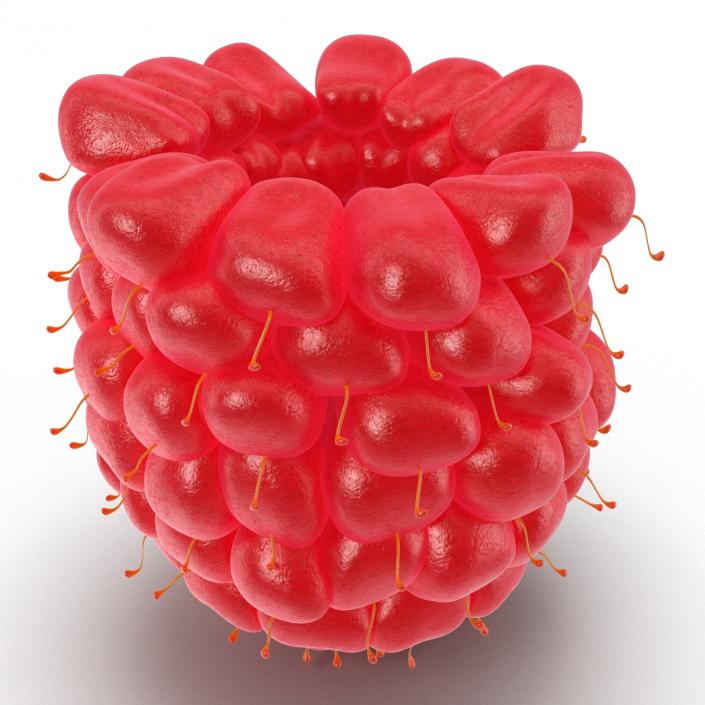 3D Ripe Red Raspberry model