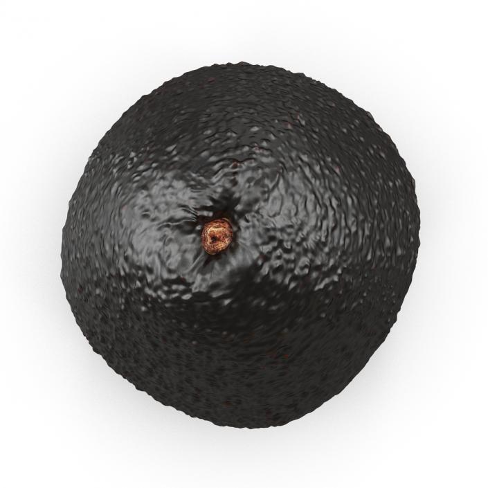 Avocado 2 3D model