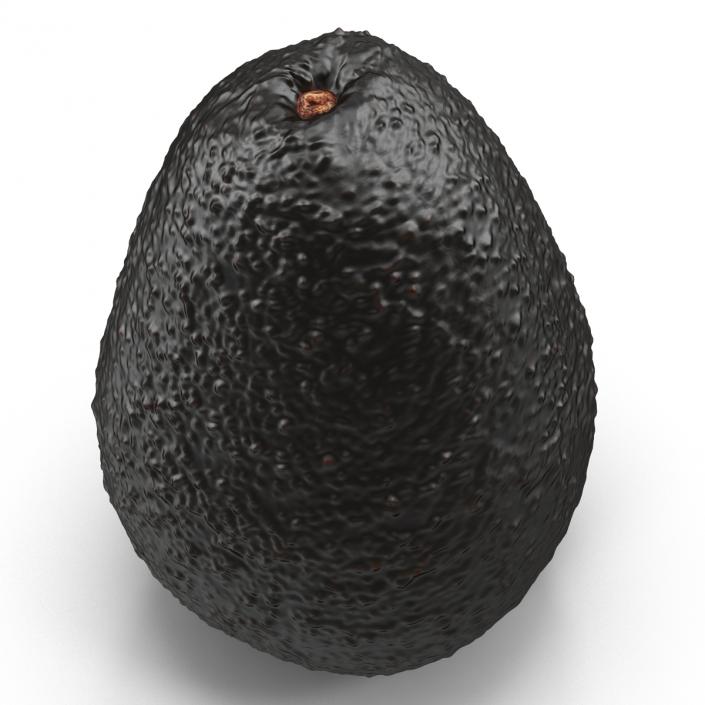 Avocado 2 3D model