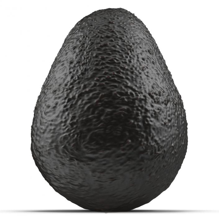 Avocado 2 3D model