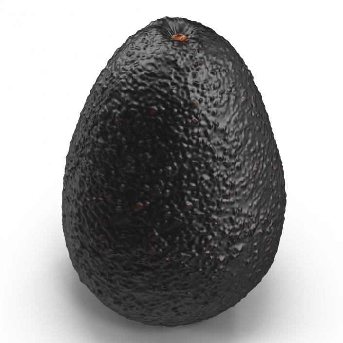 Avocado 2 3D model