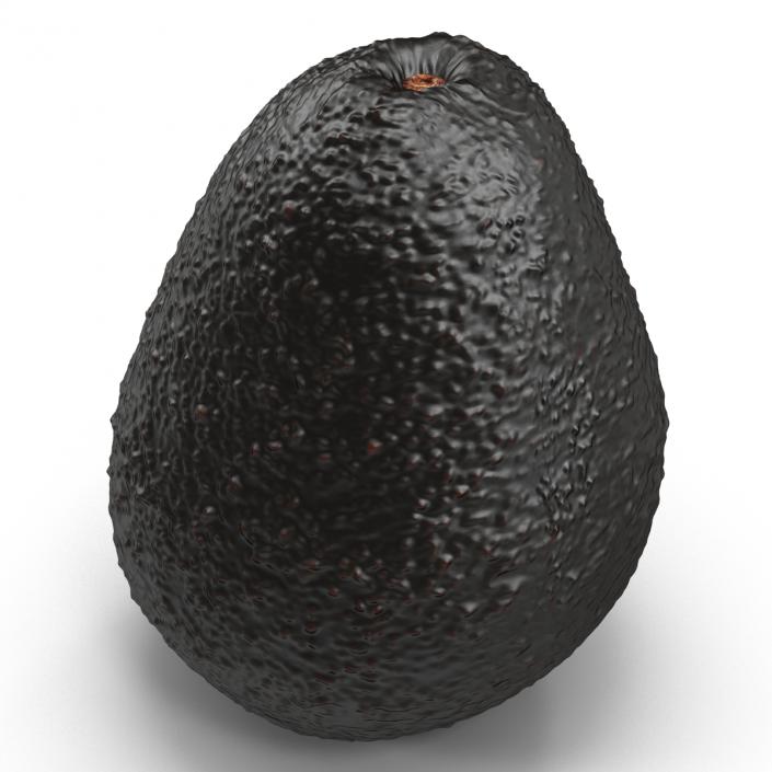 Avocado 2 3D model