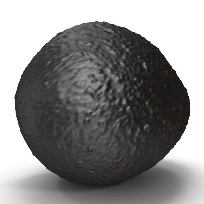 Avocado 2 3D model