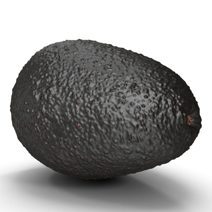 Avocado 2 3D model