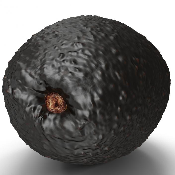 Avocado 2 3D model