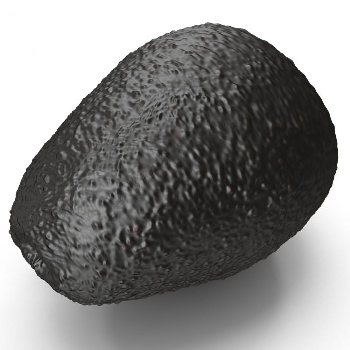 Avocado 2 3D model