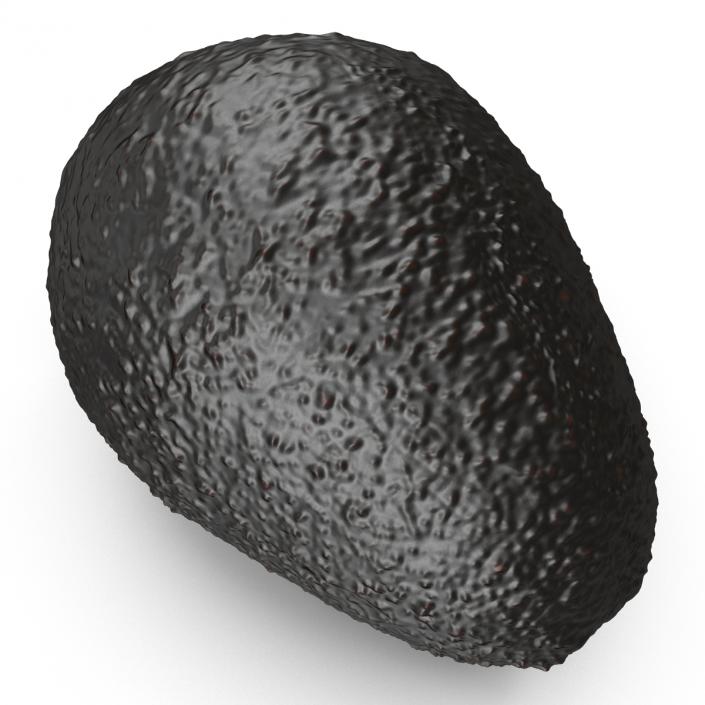 Avocado 2 3D model