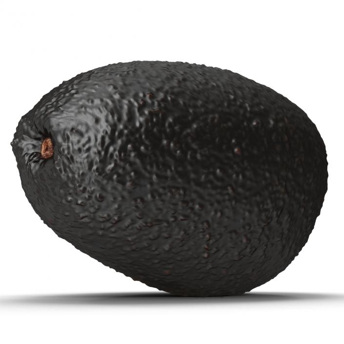 Avocado 2 3D model