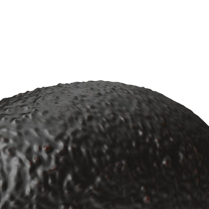 Avocado 2 3D model