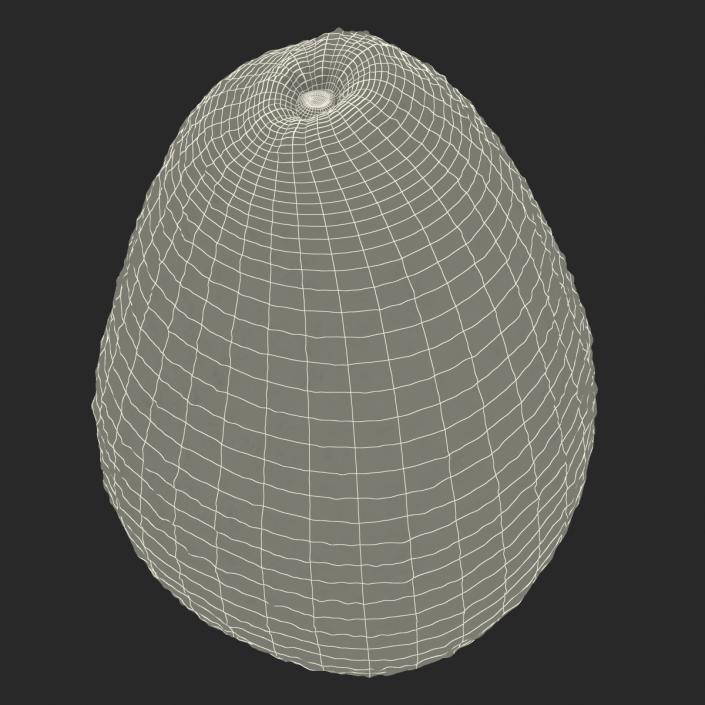 Avocado 2 3D model