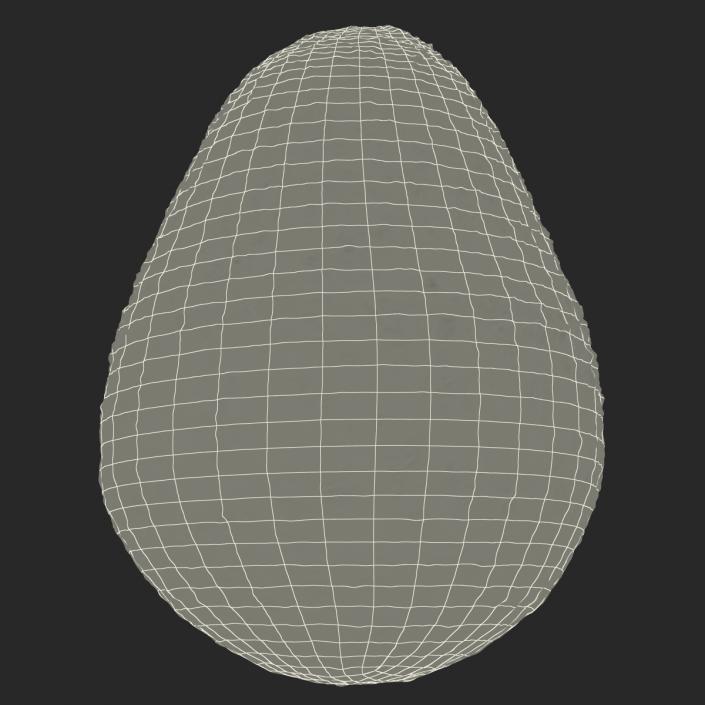 Avocado 2 3D model