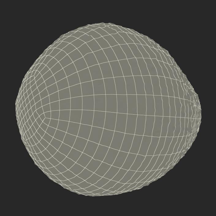 Avocado 2 3D model