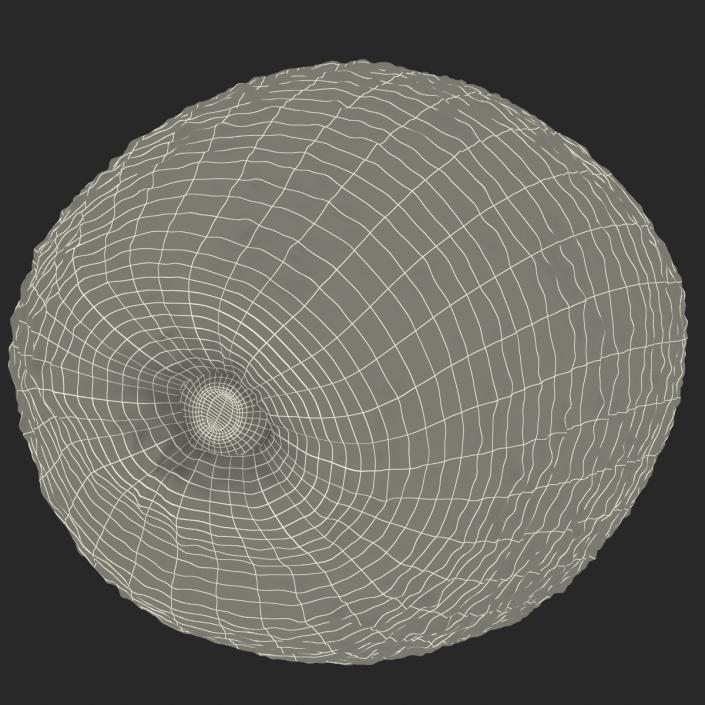 Avocado 2 3D model