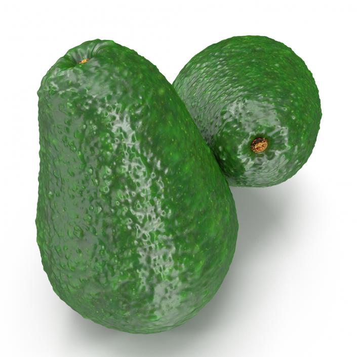 Avocado 3 3D model