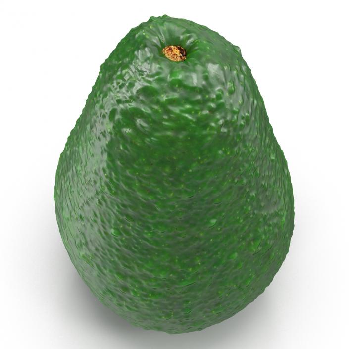 Avocado 3 3D model