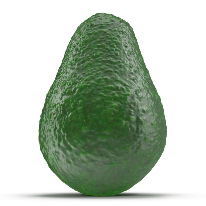 Avocado 3 3D model