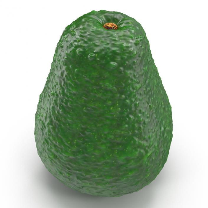 Avocado 3 3D model