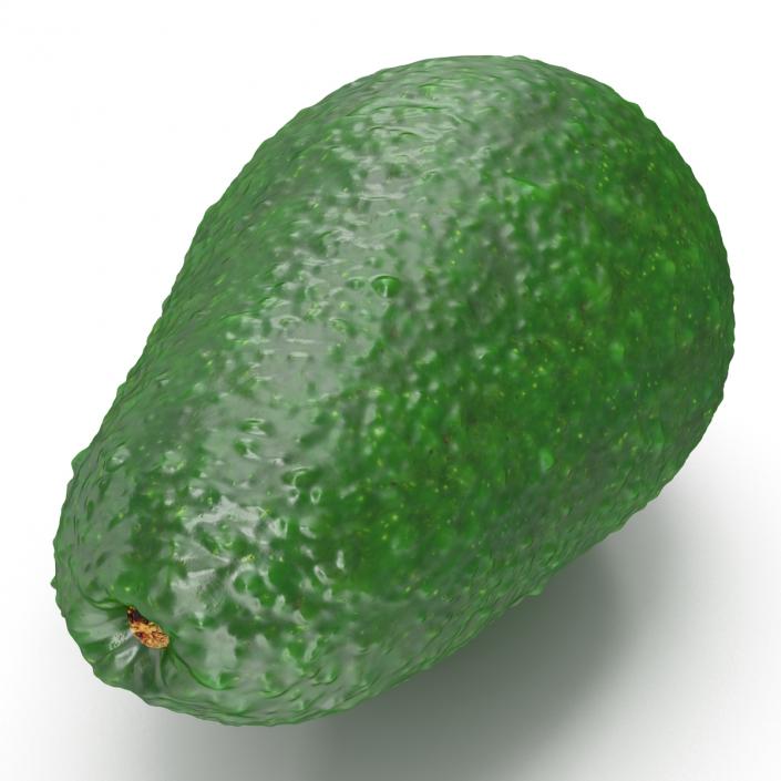 Avocado 3 3D model