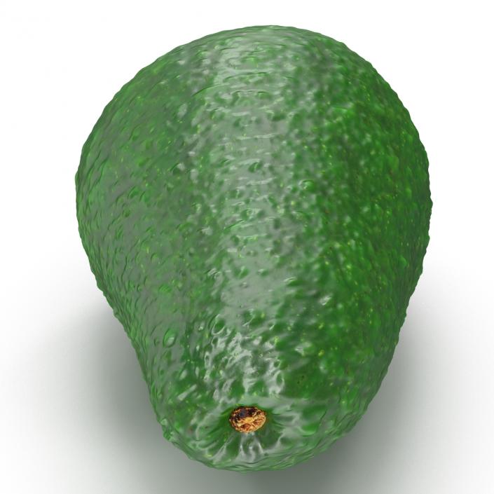 Avocado 3 3D model