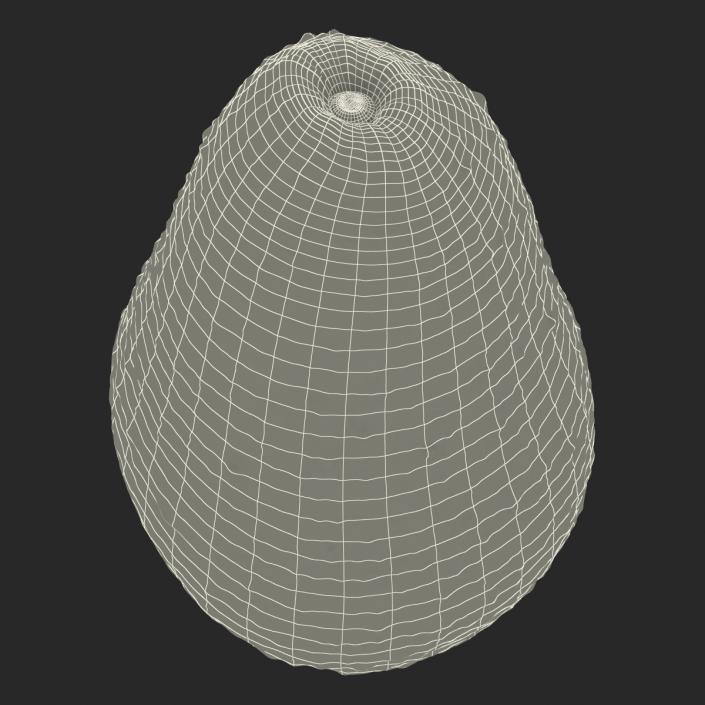 Avocado 3 3D model