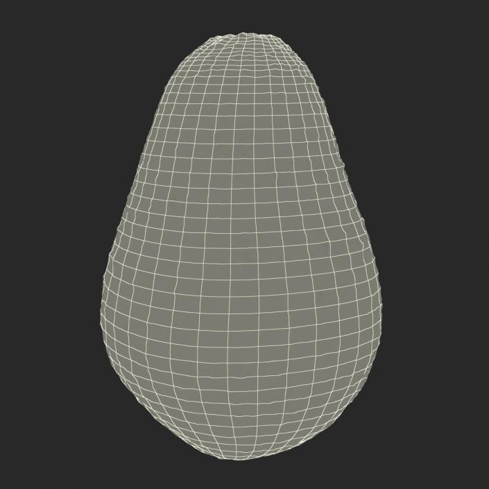 Avocado 3 3D model