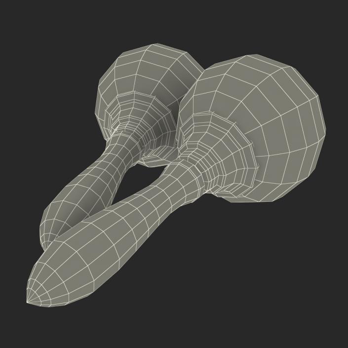 Maracas 3D model