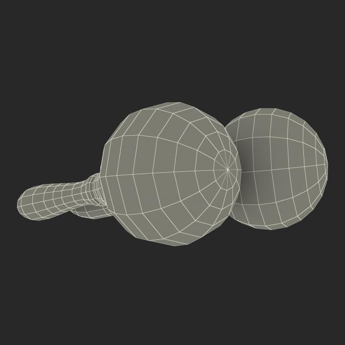 Maracas 3D model