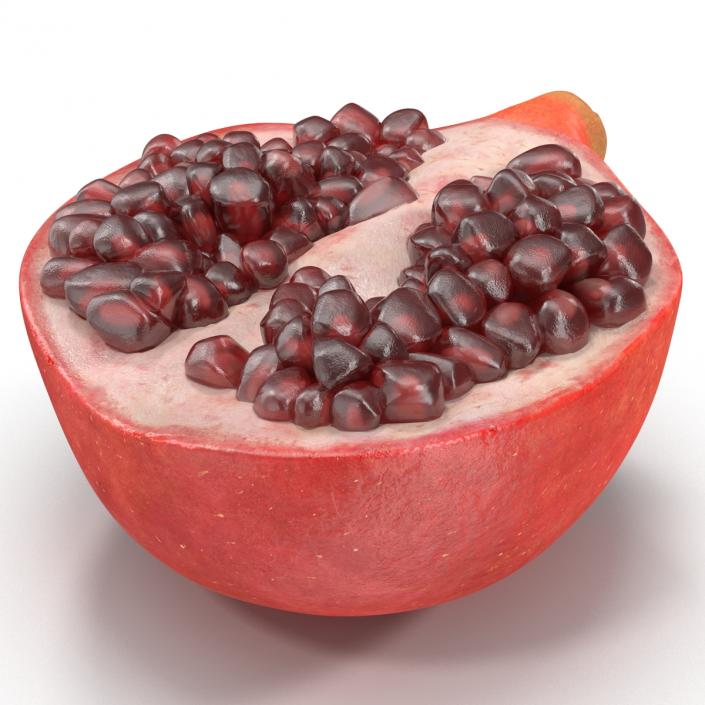 Pomegranate Cross Section 2 3D