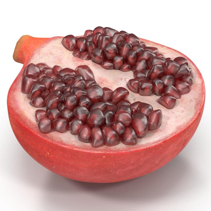 Pomegranate Cross Section 2 3D