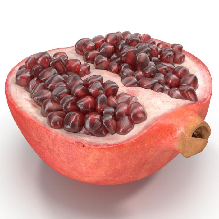 Pomegranate Cross Section 2 3D