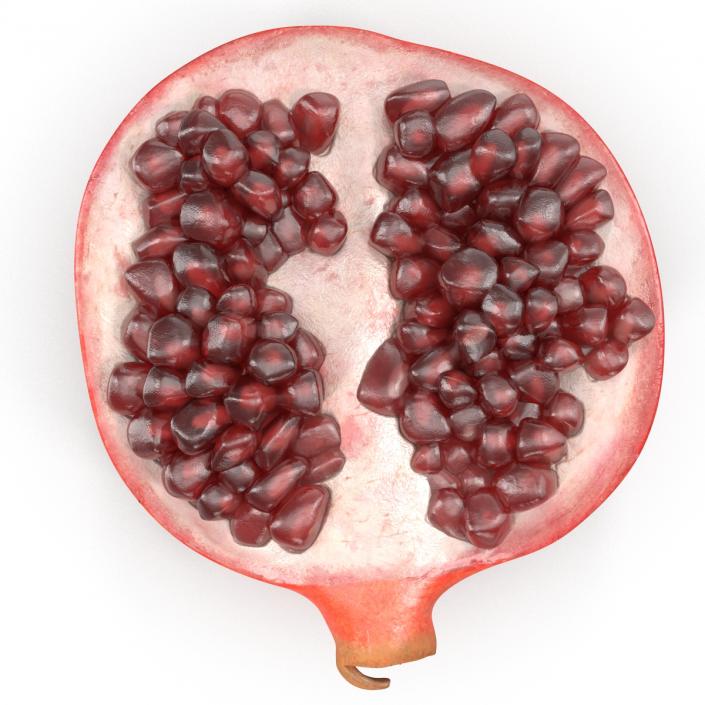 Pomegranate Cross Section 2 3D