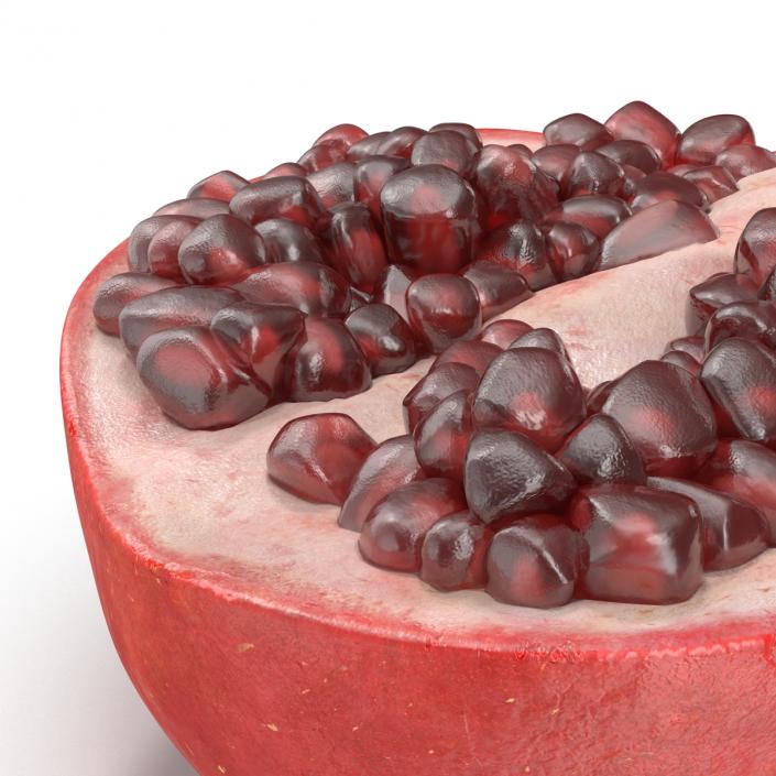 Pomegranate Cross Section 2 3D