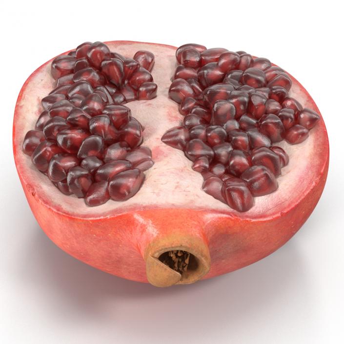 Pomegranate Cross Section 2 3D