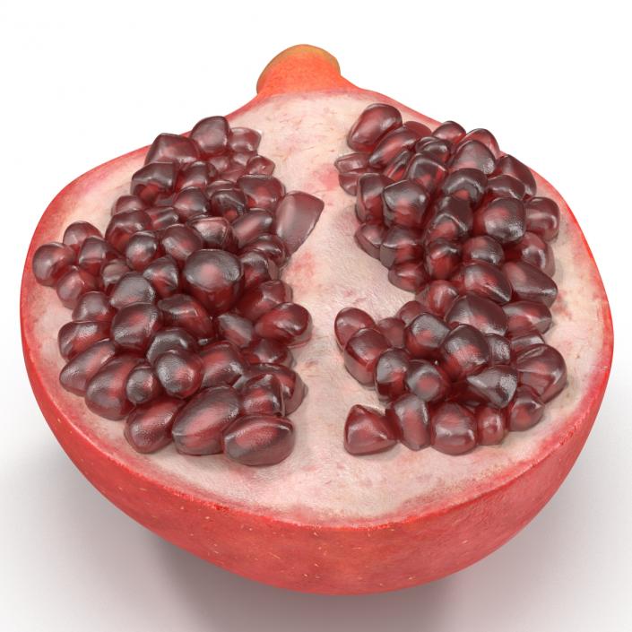 Pomegranate Cross Section 2 3D