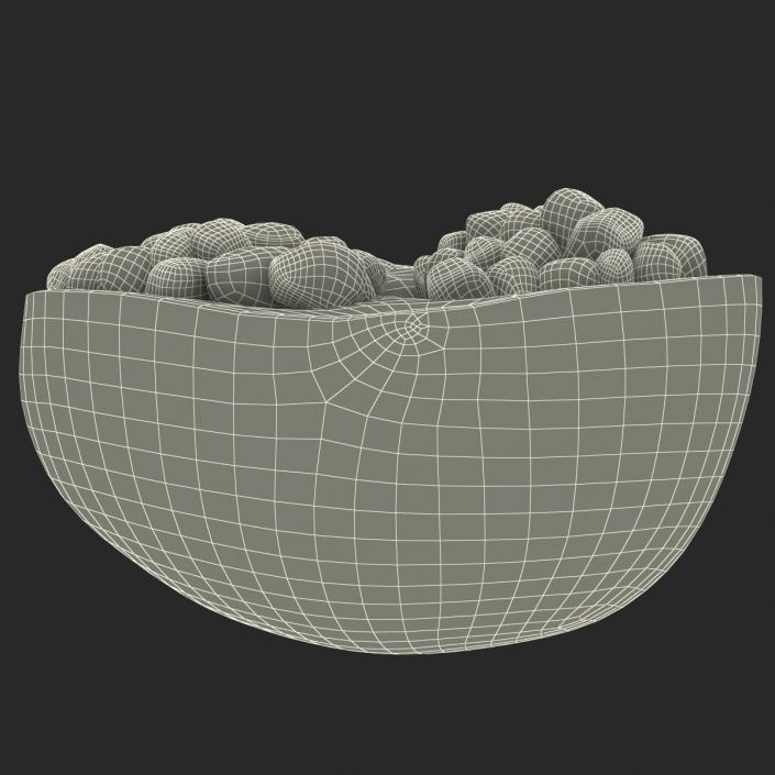 Pomegranate Cross Section 2 3D