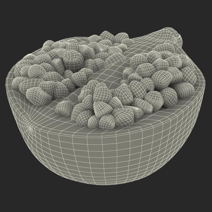 Pomegranate Cross Section 2 3D