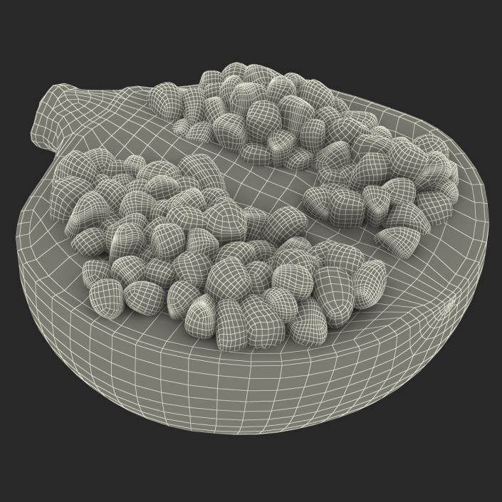 Pomegranate Cross Section 2 3D