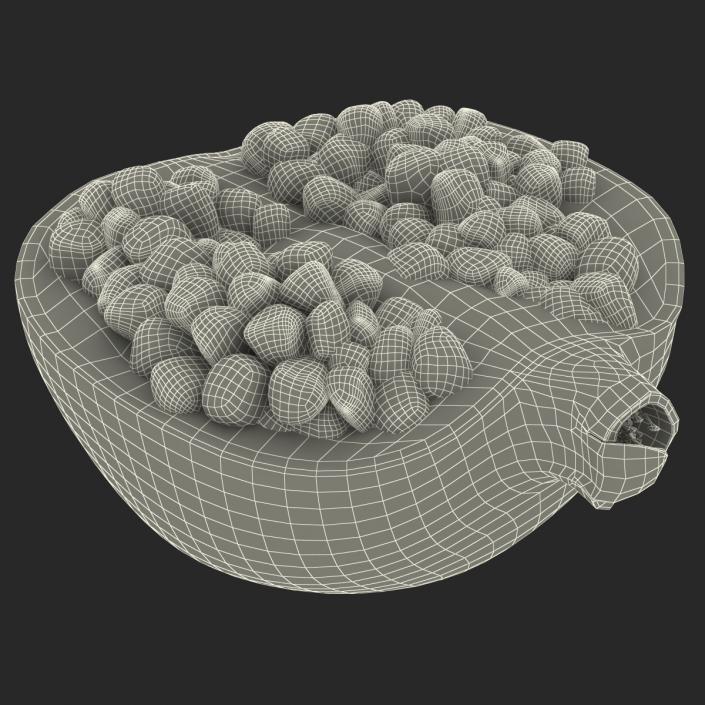 Pomegranate Cross Section 2 3D