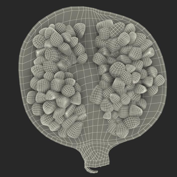 Pomegranate Cross Section 2 3D