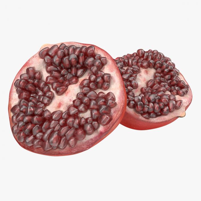 3D model Pomegranate Cross Section