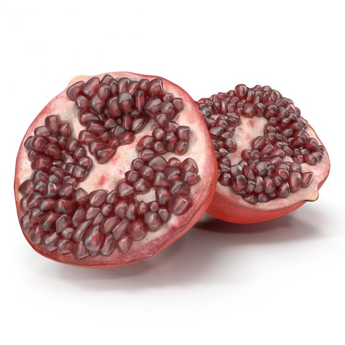 3D model Pomegranate Cross Section