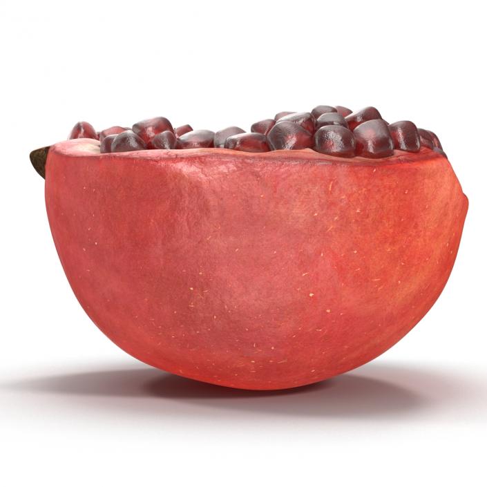 3D model Pomegranate Cross Section