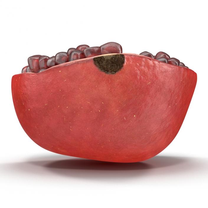 3D model Pomegranate Cross Section