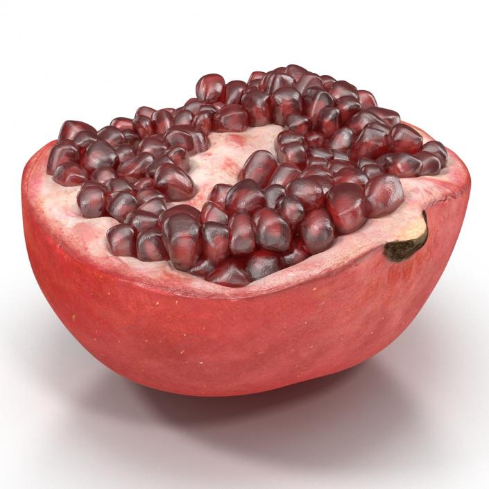 3D model Pomegranate Cross Section