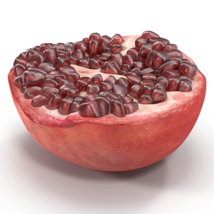 3D model Pomegranate Cross Section