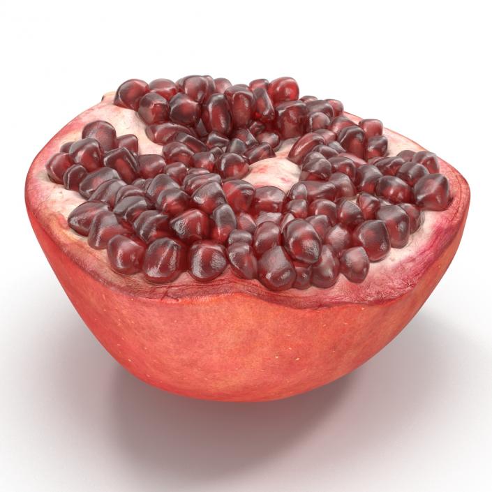 3D model Pomegranate Cross Section